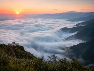 Kinh nghiệm săn mây Tà Xùa chi tiết nhất 2026