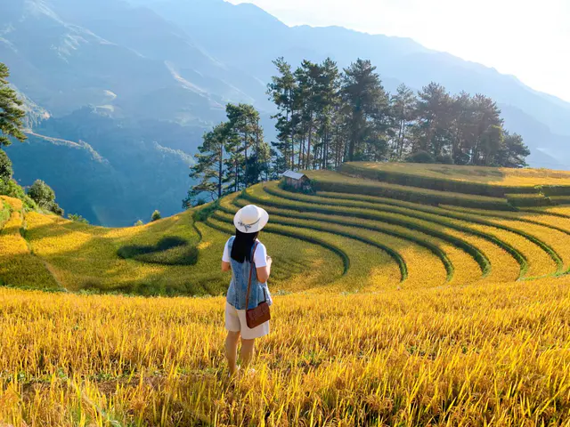 Mù Cang Chải